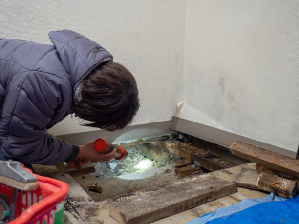 Best Mold Documentation for Insurance Claims  in Batavia, NY