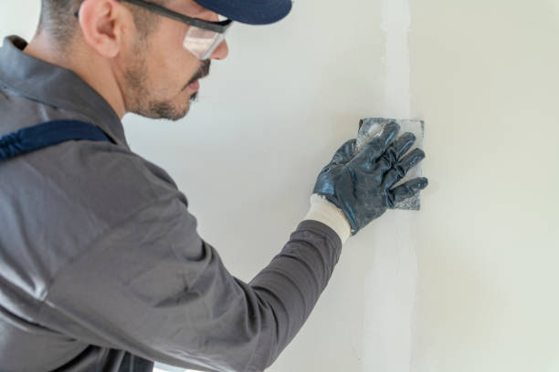 Best Post-Construction Mold Inspection  in Batavia, NY